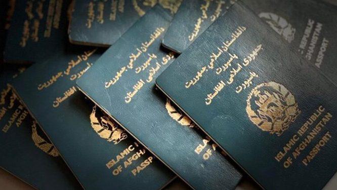 آمار جدید از عواید ریاست عمومی پاسپورت وزارت داخله طالبان